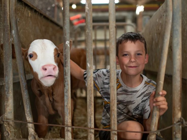 La Ferme des Bertrand : Découvrez le nouveau film poignant de Gilles Perret sur le monde rural