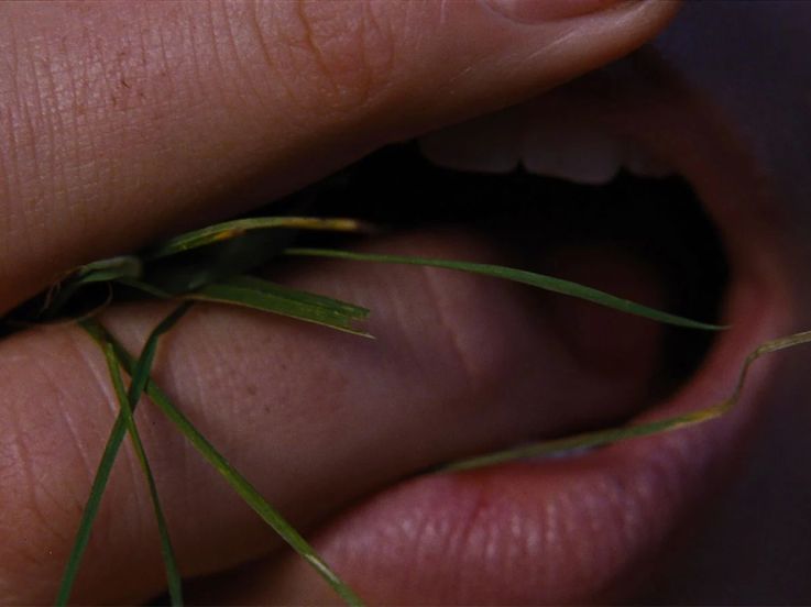 Hurlevent : Margot Robbie et Jacob Elordi au cinéma en 2026