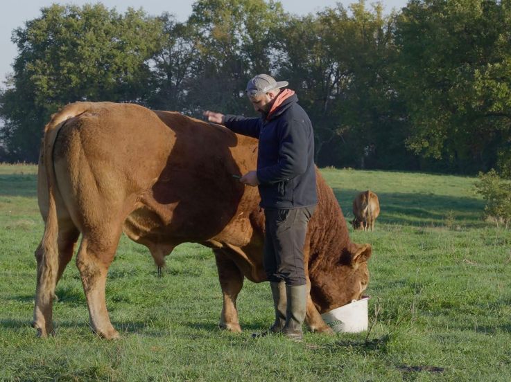 Rural : Édouard Bergeon au cœur du monde agricole