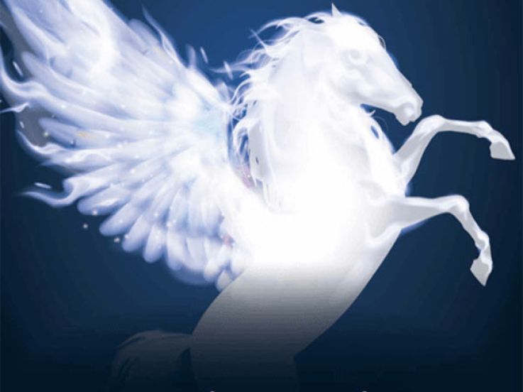 Quintessence, le spectacle du cirque Alexis Gruss