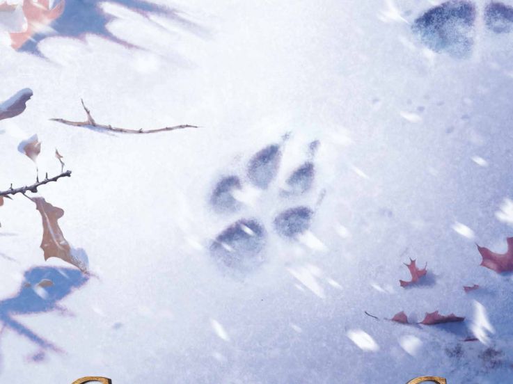 Croc Blanc bientôt au cinéma