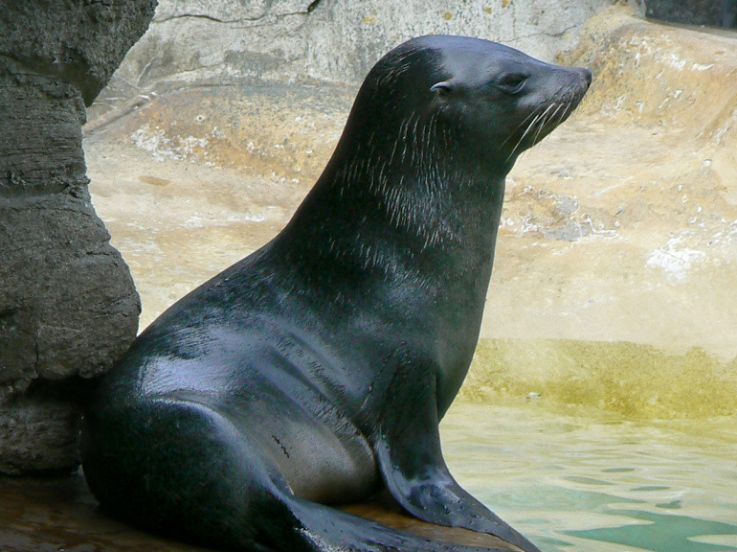 Les vacances de février 2019 au Parc Zoologique de Paris Vincennes
