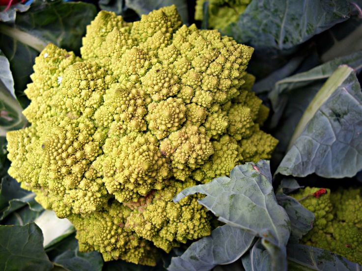 Vitamine K : un allié de poids dans la lutte contre le coronavirus ?