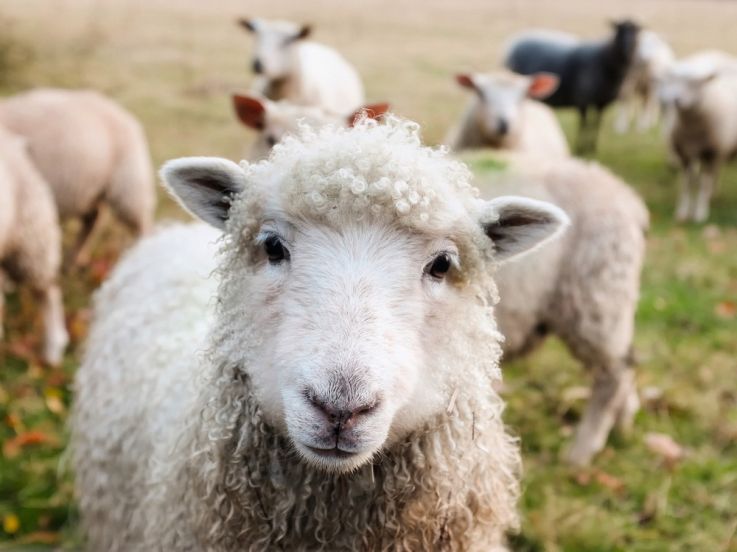 Des ateliers de jardinage gratuits en famille à la Ferme de Paris