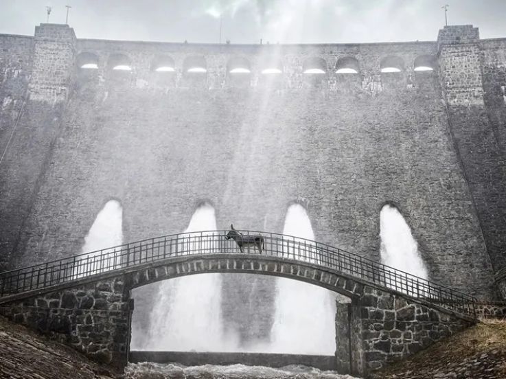 EO (HI-HAN) de Jerzy Skolimowski