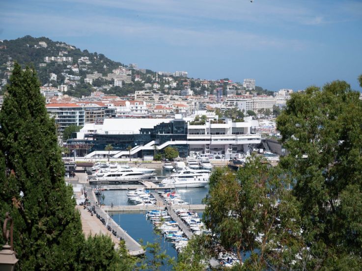 Festvial de Cannes Visuel générique
