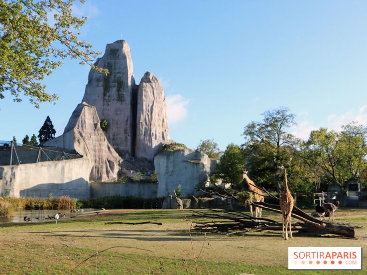Mission Protéger au Parc Zoologique