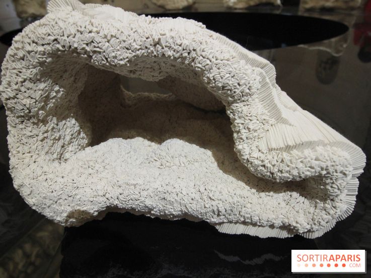 Un monde de plis à la chapelle Expiatoire