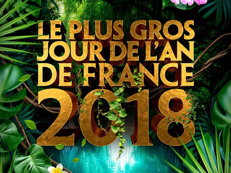 LE PLUS GROS JOUR DE L'AN DE FRANCE 2018 (Jungle, Palmiers, Cascades)