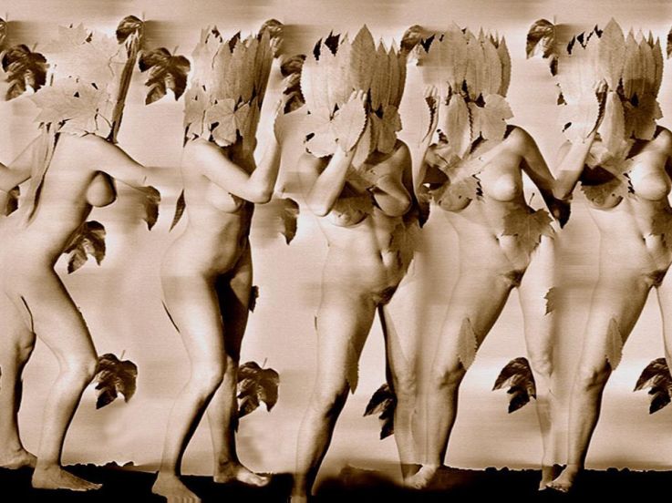 Exposition François Delebecque