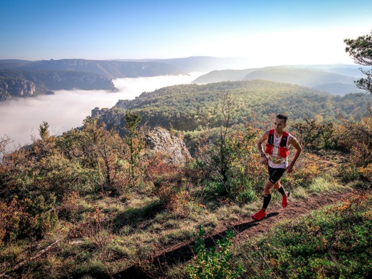 Trail éco-responsable en forêt de Meudon 