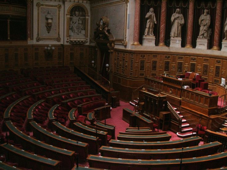 Coronavirus : le Sénat vote un troisième budget d'urgence pour faire face à la crise 