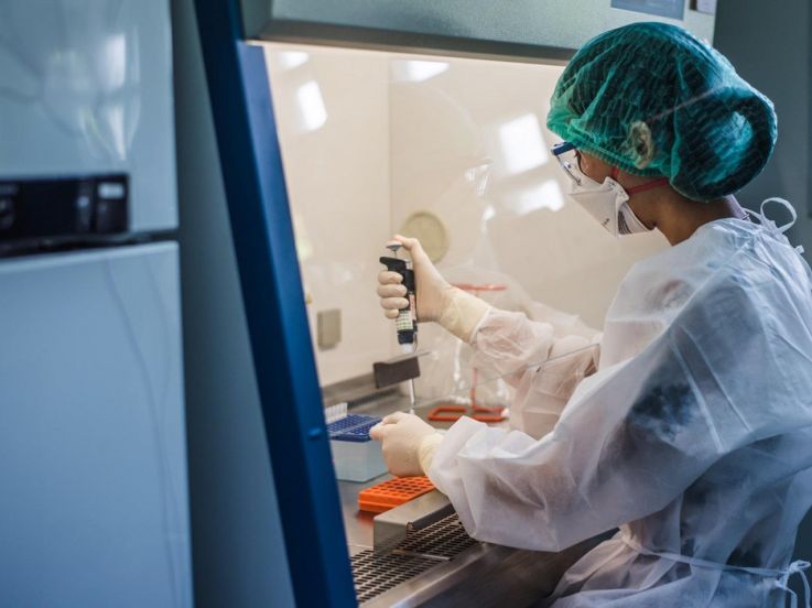 Coronavirus : deux millions de morts "très probables" selon l'OMS