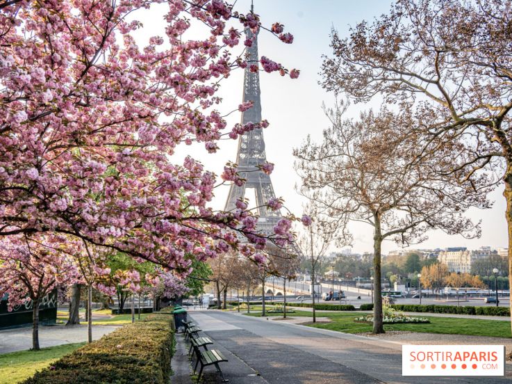 Covid : les indicateurs de l'épidémie baissent toujours en France