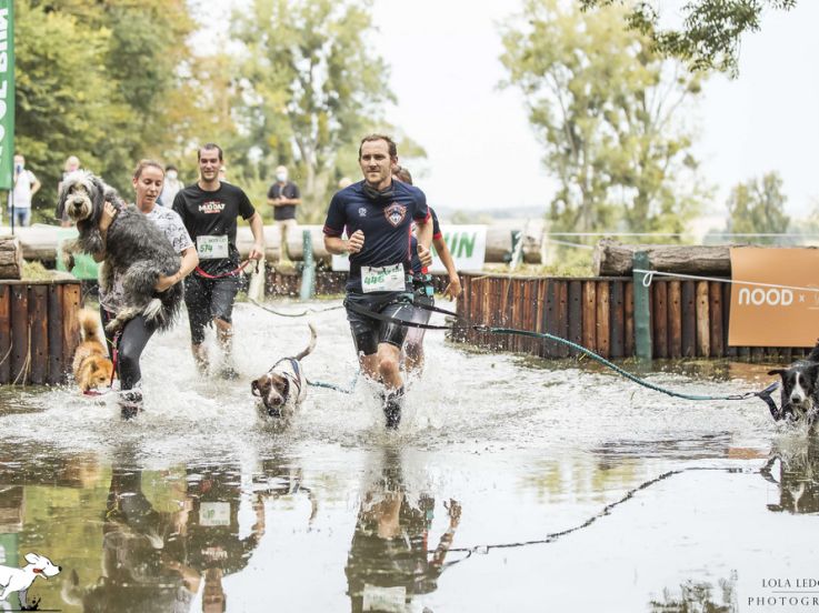 Woof Run 2021, l'évènement sportif pour les amoureux des chiens dans l'Oise
