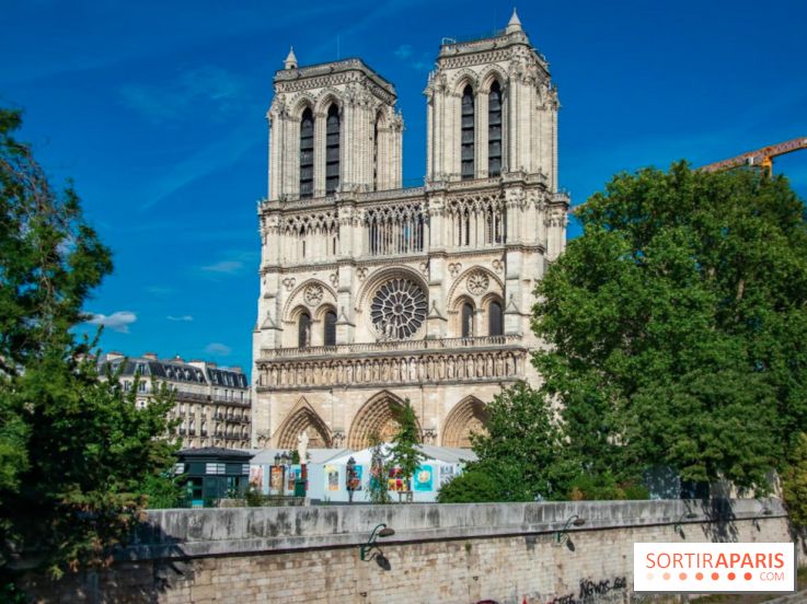 Parvis de Notre-Dame : les quatre projets de réaménagement dévoilés par la Mairie de Paris