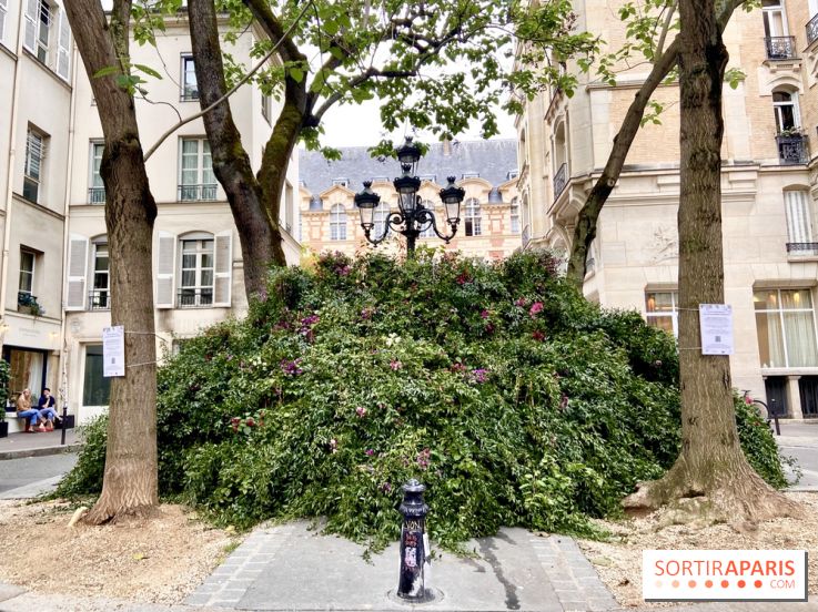 Paris : une première "forêt urbaine" va voir le jour à Montparnasse avant 2024