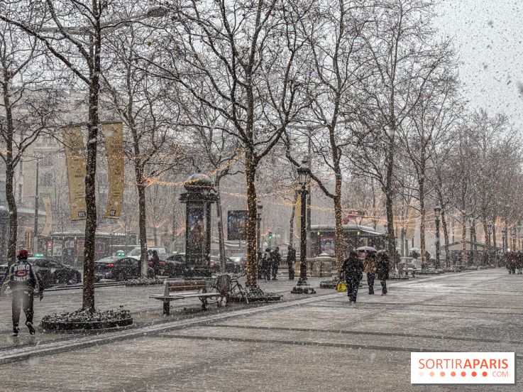 La Neige à Paris - IMG 2832