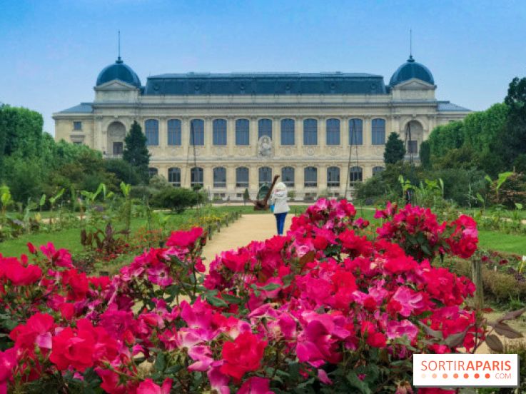 Base de données LaurentP