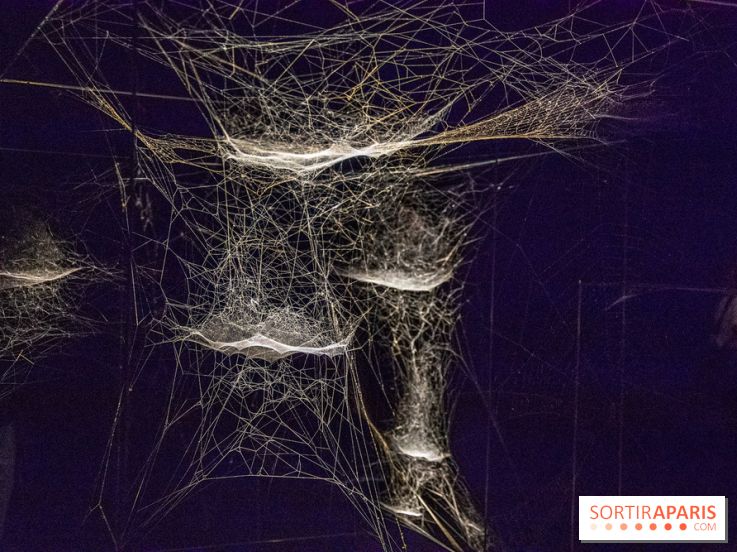 Base de données LaurentP