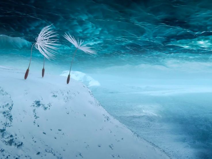 Planètes de Momoko Seto, film de clôture de la Semaine de la Critique 2025