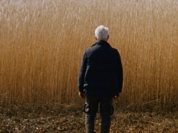 Rietland (Reedland) de Sven Bresser, en sélection à la Semaine de la Critique 2025