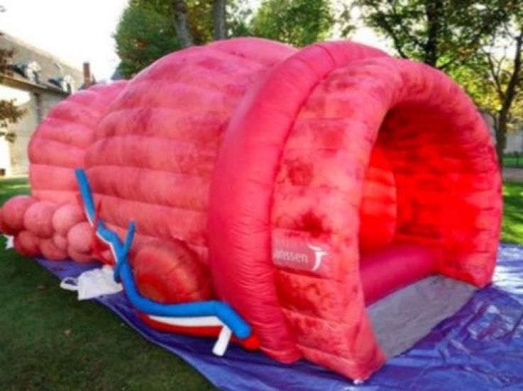 Movember 2018 : explorez une prostate géante à la Clinique Lambert à La Garenne-Colombes