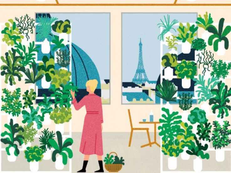 Un mur végétal comestible installé au Printemps du Goût