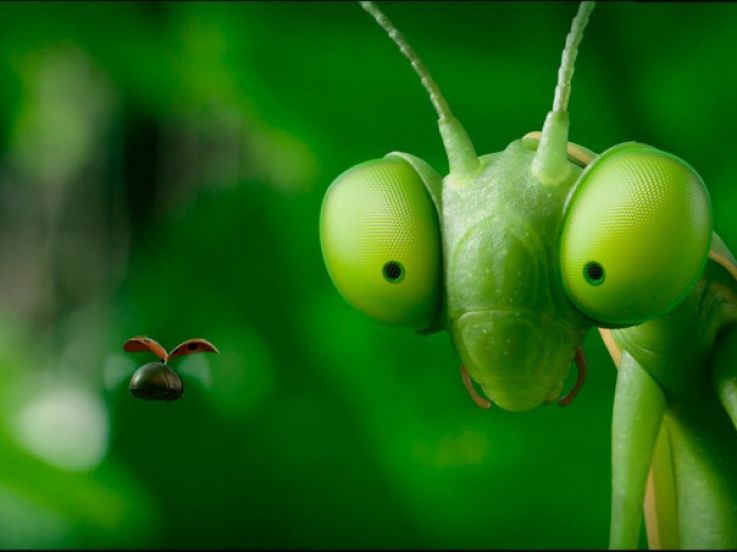 Découvrez les coulisses du film d'animation 'Minuscule' au MK2 Bibliothèque