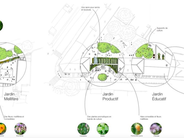 Les toits de deux écoles du 11e arrondissement végétalisés par Merci Raymond