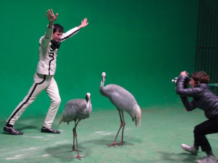 Rétrospective Confettis Atomiques de Marie Losier au Jeu de Paume