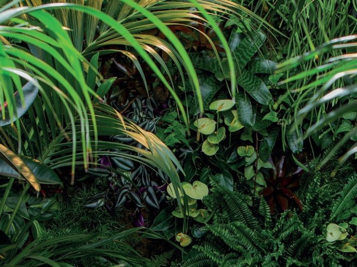 Yoga, cuisine et verdure à l'Appartement #MerciLesPlantes