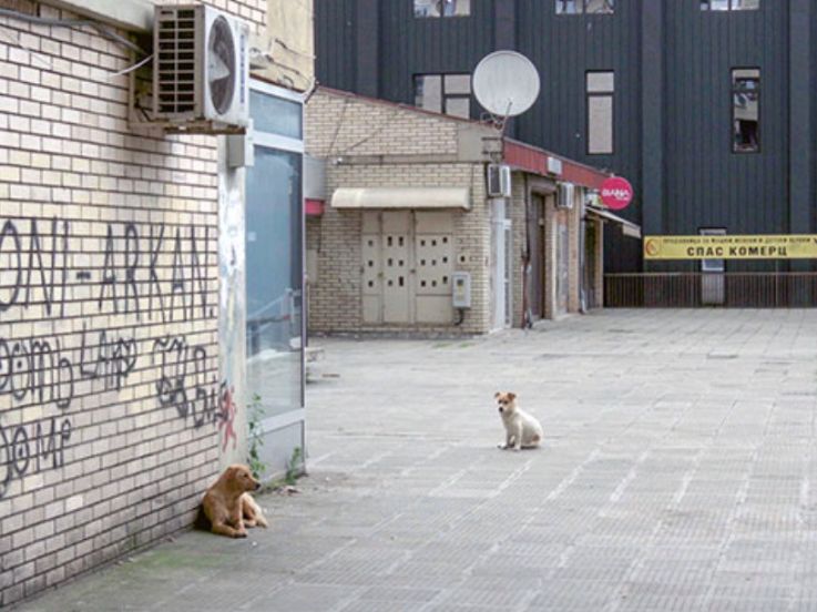Cinema du Réel - Festival International de Films Documentaires 2020