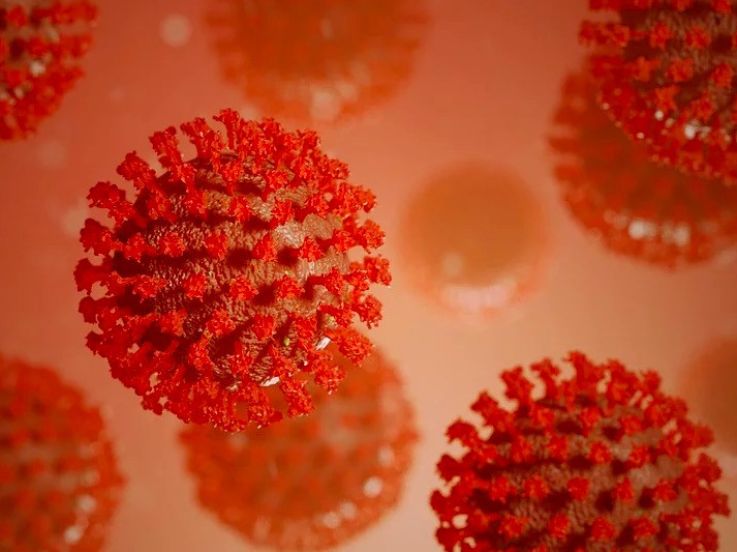 Le Coronavirus dix fois plus mortel que le virus H1N1, selon l’OMS