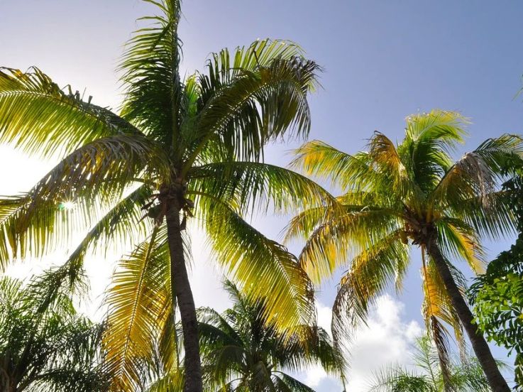 La finale de Koh Lanta sera à nouveau diffusée en deux parties