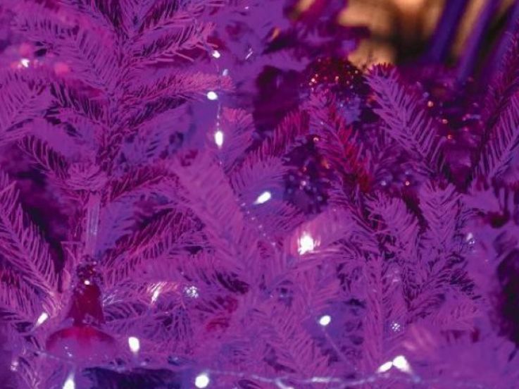 Menu de Noël 2020 et du Nouvel An 2021 du Nolinski à emporter