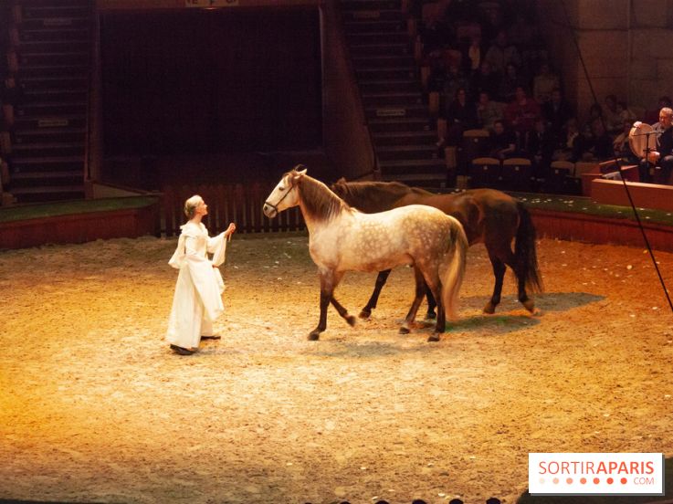 Nature, le spectacle équestre à Chantilly