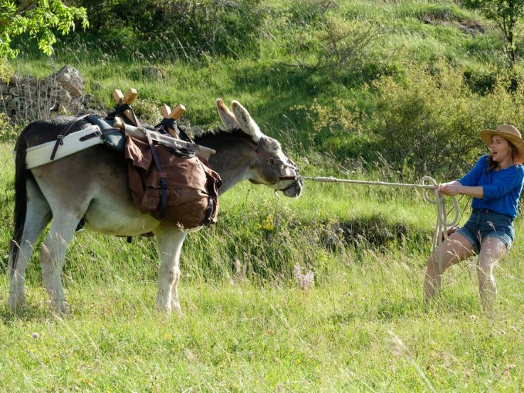 Antoinette dans les Cévennes : l'affiche et les premières photos