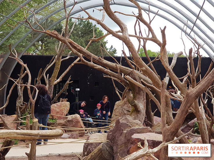 Zoo de Thoiry 2018 : les photos