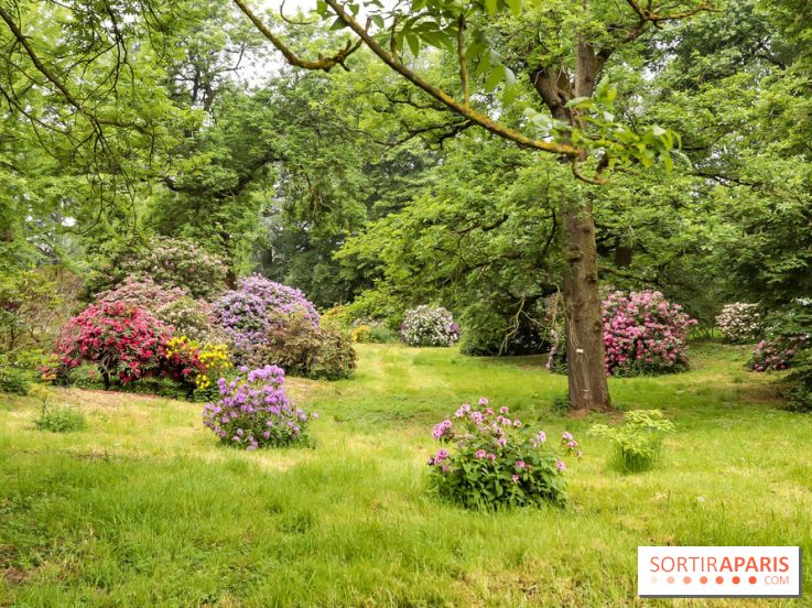 L'Arboretum de Versailles - Chevreloup