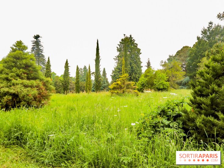L'Arboretum de Versailles - Chevreloup