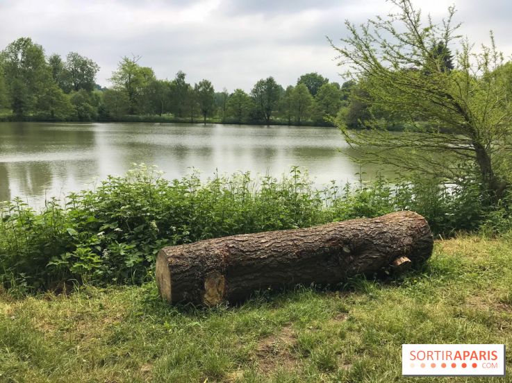 L'Arboretum de Versailles - Chevreloup