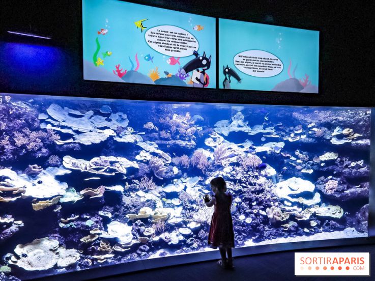 Loup préserve les océans à l'Aquarium de Paris, les photos
