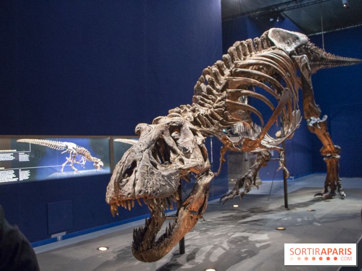 Un T-Rex à Paris : les photos