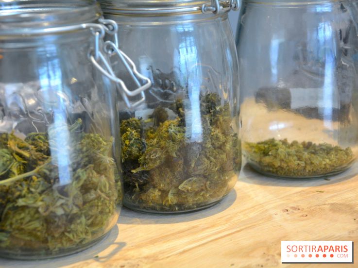 Le Lab du bonheur à Paris, un Coffee Shop CBD bien-être 