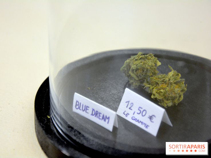 BlueDreamLab le spécialiste de la vente de cannabis CBD