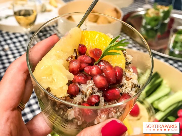 Maison Plisson 2, inauguration