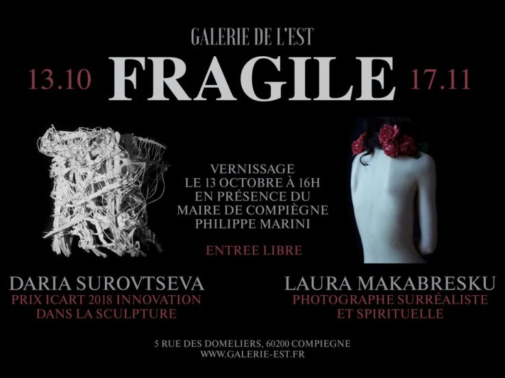 Exposition "Fragile" de Daria Surovtseva et Laura Makabrescu