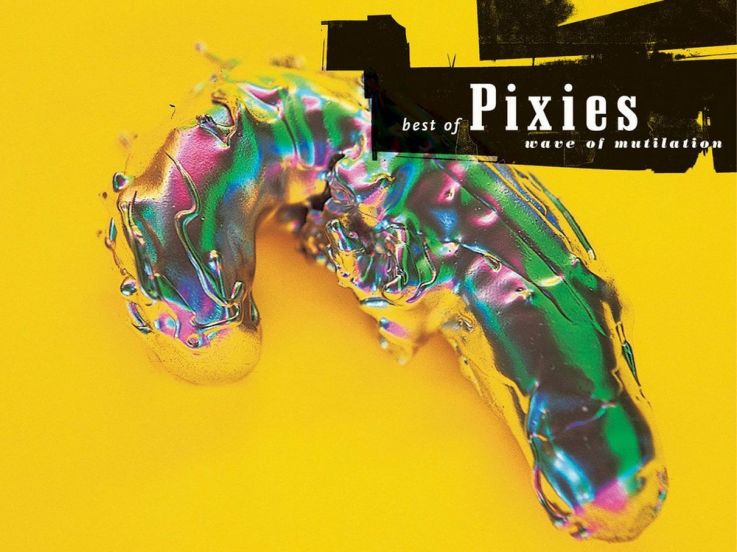 Concert, Pixies, Tournée, Groupe, Rock, Europe, Etats-Unis.