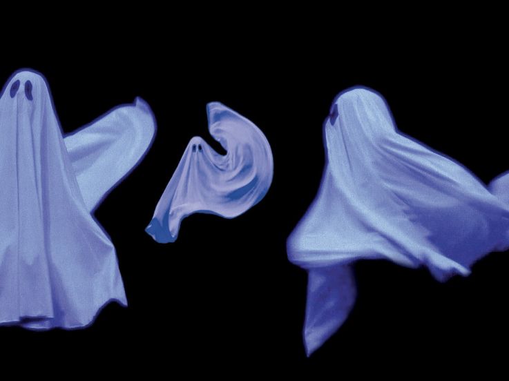 Pillowgraphies / Cie La BaZooKa 